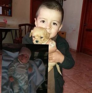 Meet your Posher, Rosario